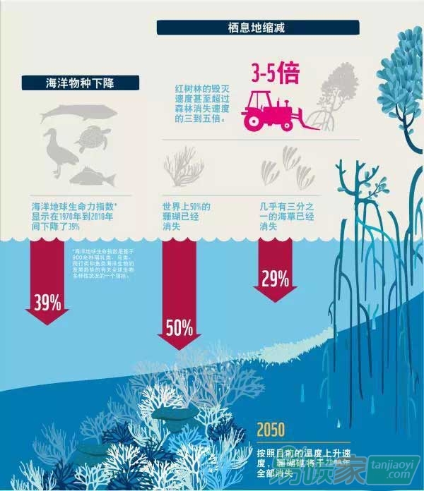 “全球海洋經(jīng)濟(jì)在走下坡路”