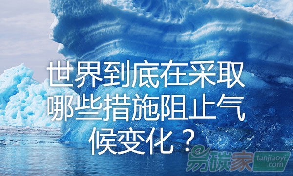 世界到底在采取哪些措施阻止氣候變化？