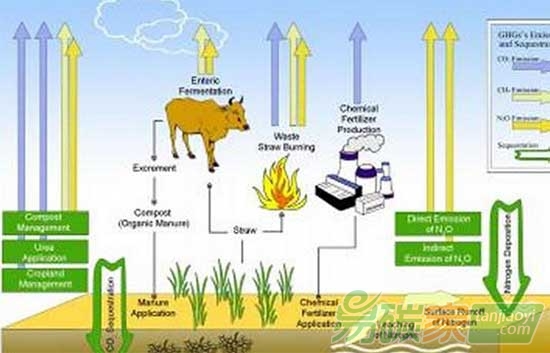 農(nóng)田排放對氣候變暖響應(yīng)研究獲得新進(jìn)展