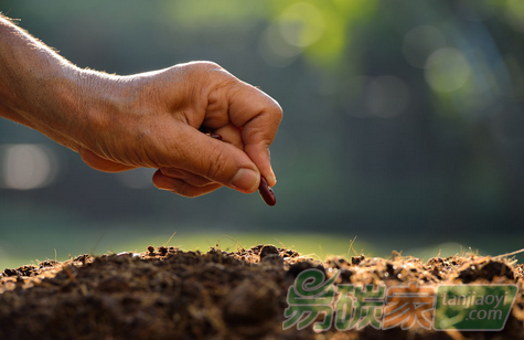 土壤排放多少溫室氣體不再是筆“糊涂賬”
