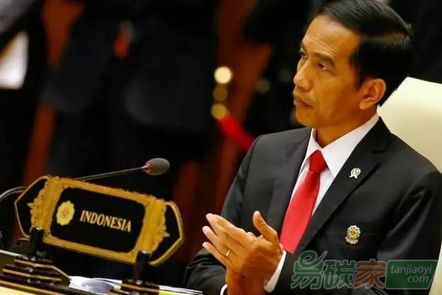 印尼政府實(shí)施泥炭地暫禁令