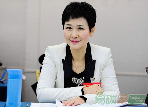 全國政協(xié)委員李小琳能源轉(zhuǎn)型需轉(zhuǎn)向需求側(cè)