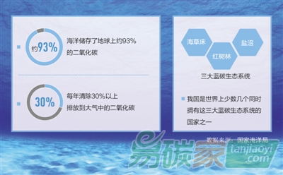 你知道“藍(lán)碳”是什么嗎？有多厲害？