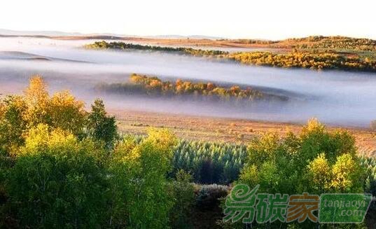 碳匯市場(chǎng)與碳排放交易市場(chǎng)銜接中的問(wèn)題