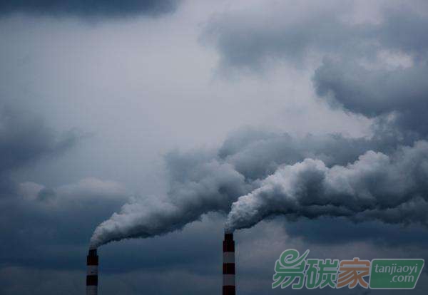 2017年氣候能源圈的10件大事到底誰是真正灰犀牛？