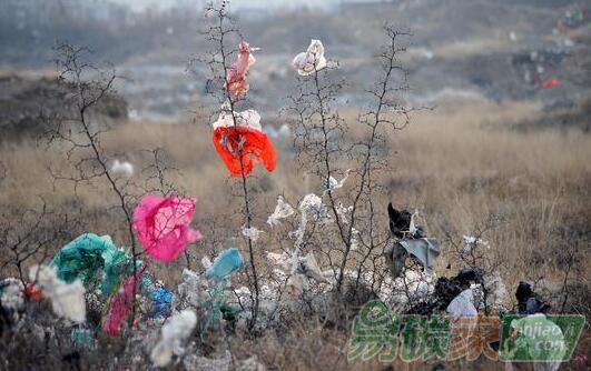 生產(chǎn)紙袋所造成的溫室氣體排放是塑料袋的3.3倍