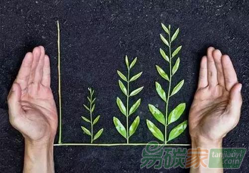 發(fā)揮綠色金融在生態(tài)產(chǎn)品價(jià)值實(shí)現(xiàn)中的作用