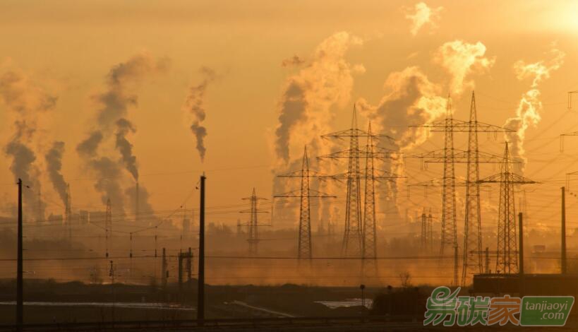 150年后，碳排放將超過5600萬年前“生物大滅絕”？