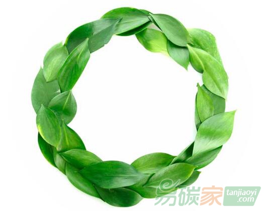 德國大力發(fā)展可再生能源