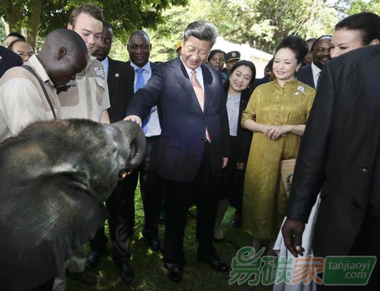 2015年12月2日，國家主席習(xí)近平在津巴布韋考察野生動物救助基地。新華社記者蘭紅光攝