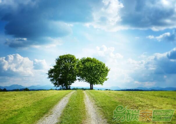 全球哪些國家和地區(qū)設(shè)立了碳中和（凈零排放）目標(biāo)？